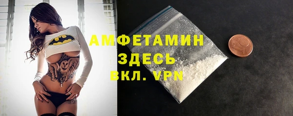 мдпв Семёнов