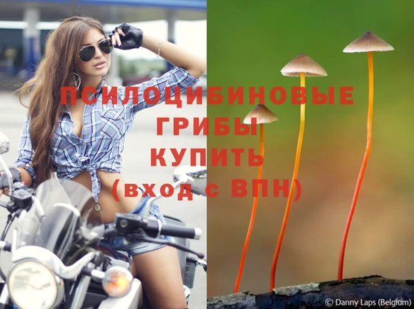 прущие крисы Белоозёрский